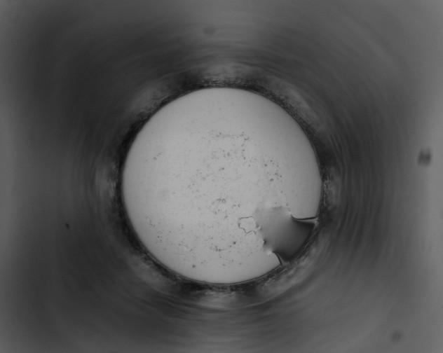 X0000102860458200809081310