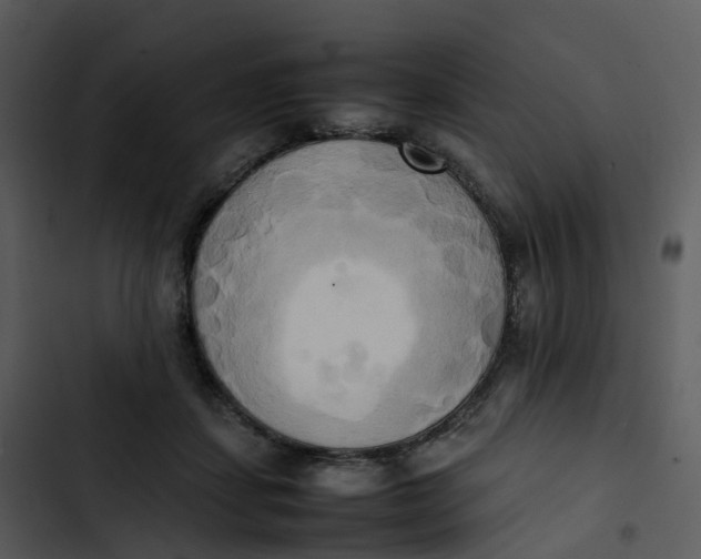 X0000102860459200809081310