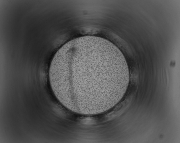 X0000102860460200809081310