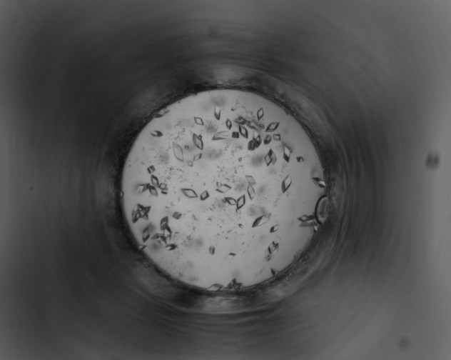 X0000102860461200809081310