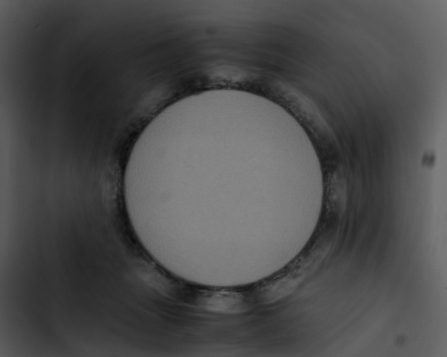 X0000102860463200809081310