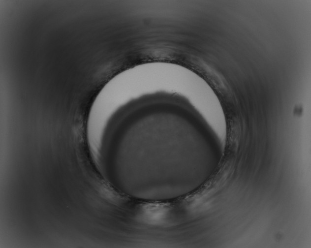 X0000102860465200809081310