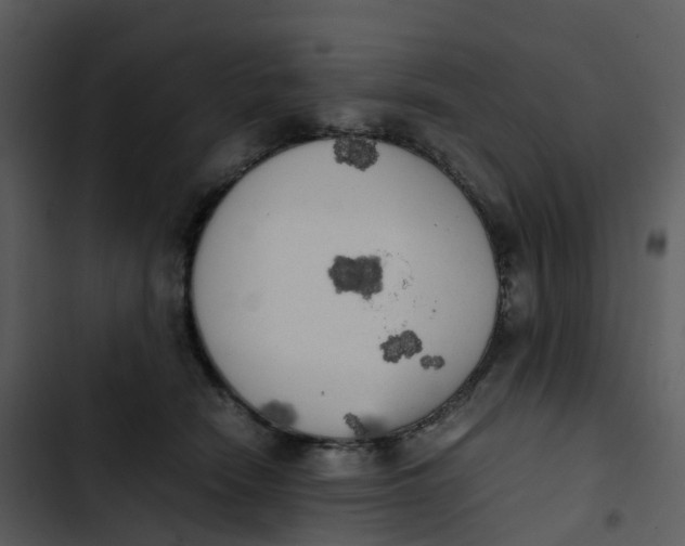 X0000102860466200809081310