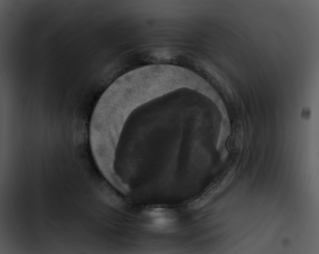 X0000102860467200809081310