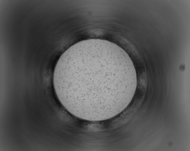 X0000102860468200809081310