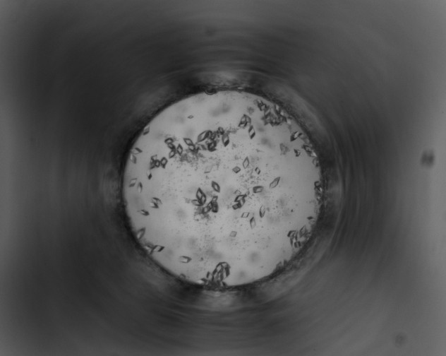 X0000102860469200809081310