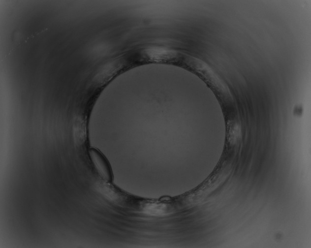 X0000102860471200809081310