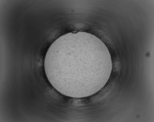 X0000102860472200809081310