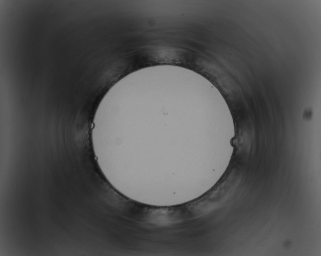 X0000102860473200809081310