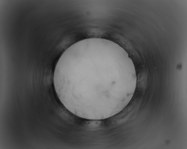 X0000102860474200809081310