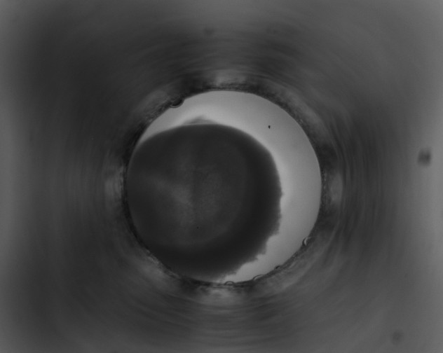 X0000102860475200809081310