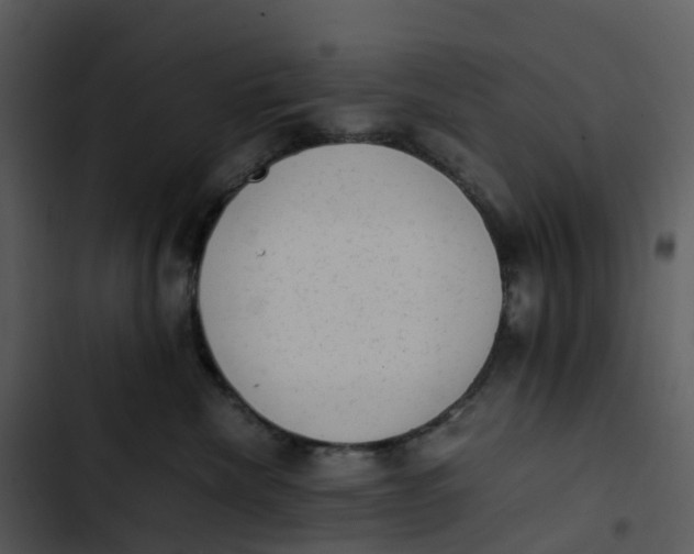 X0000102860476200809081310