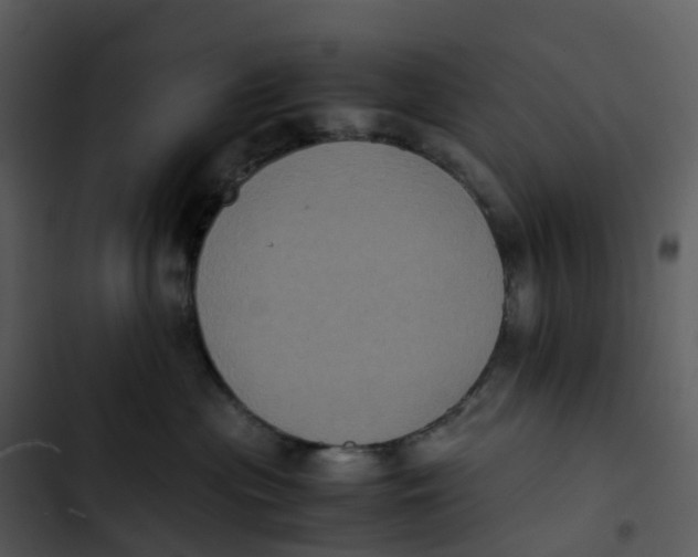 X0000102860477200809081310