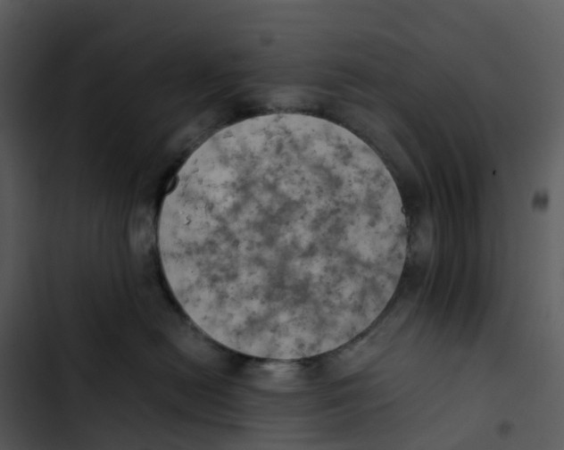 X0000102860478200809081310