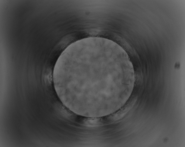 X0000102860479200809081310