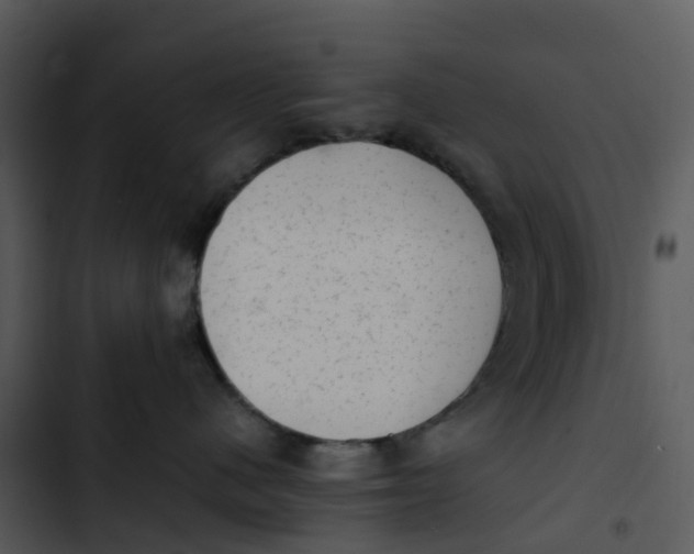 X0000102860480200809081310