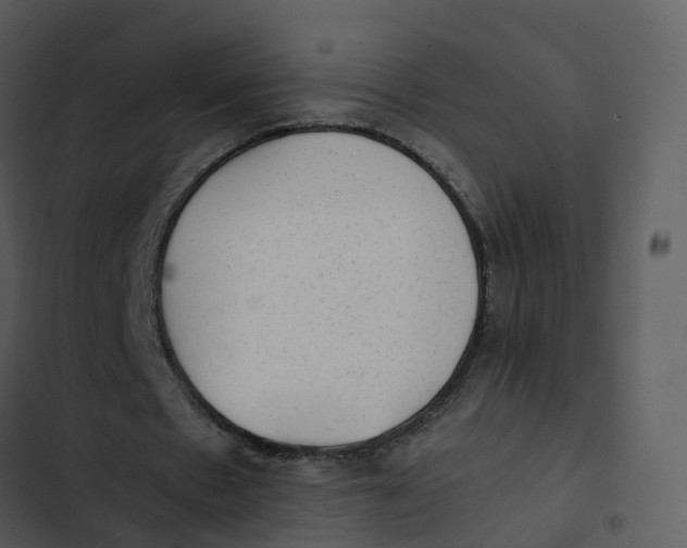 X0000102860481200809081310