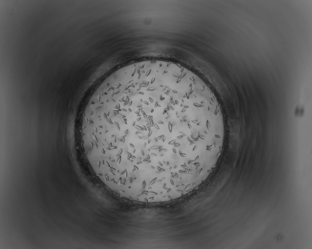 X0000102860482200809081310