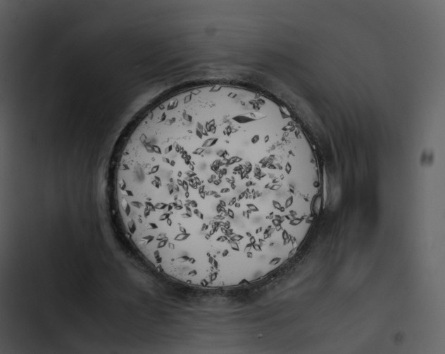 X0000102860483200809081310