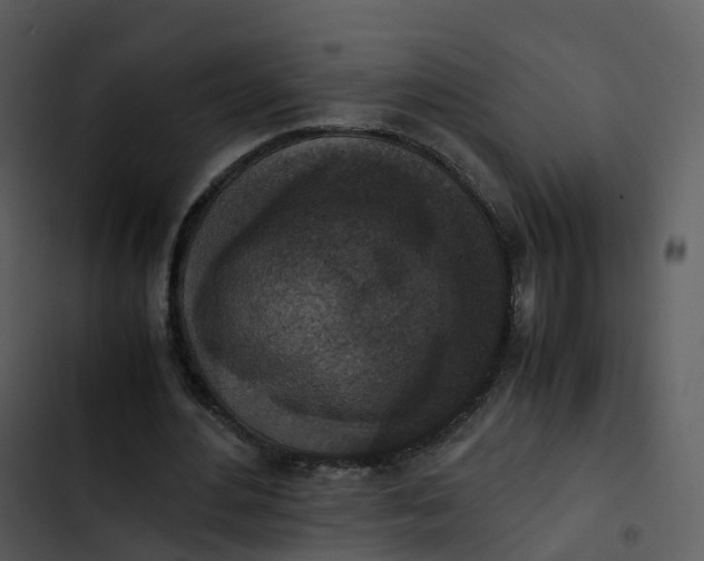 X0000102860484200809081310