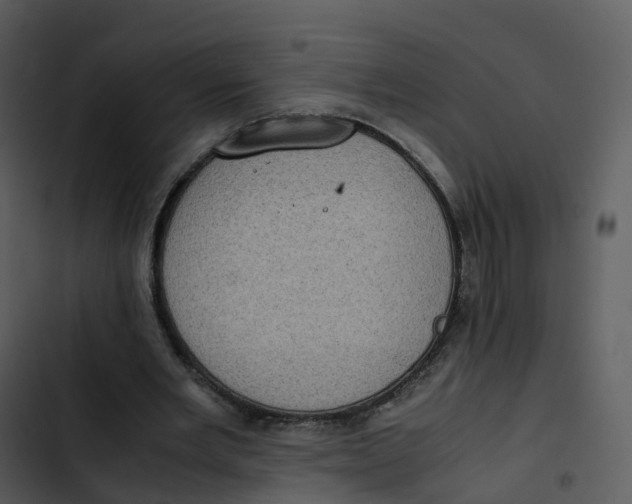 X0000102860485200809081310