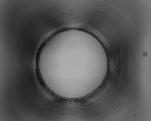 X0000102860486200809081310