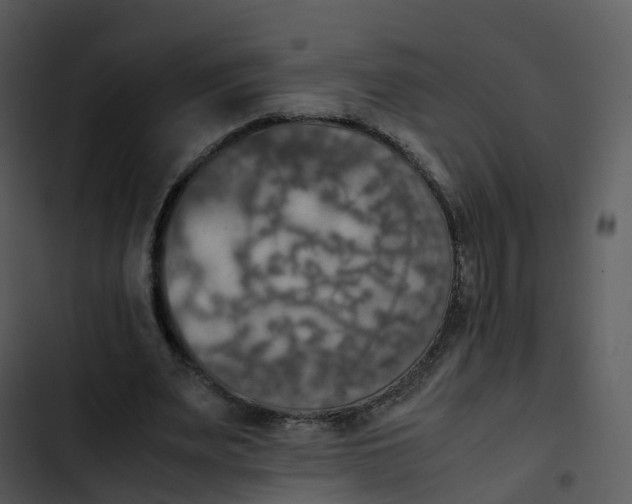 X0000102860487200809081310