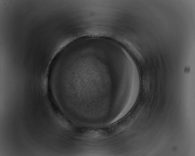 X0000102860488200809081310