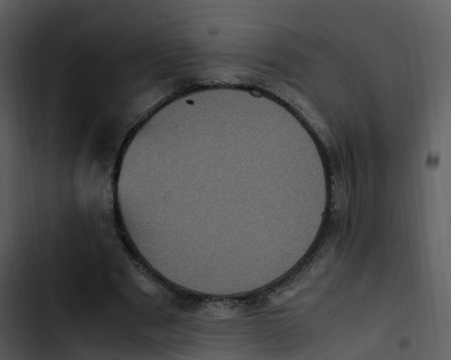 X0000102860489200809081310