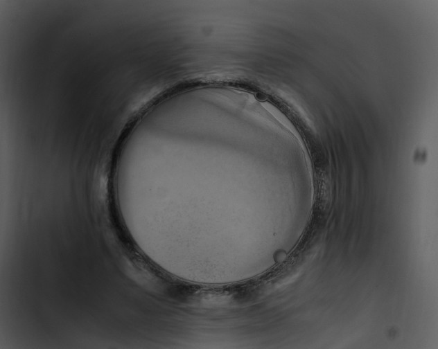 X0000102860491200809081310