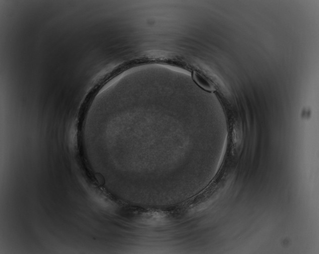 X0000102860492200809081309