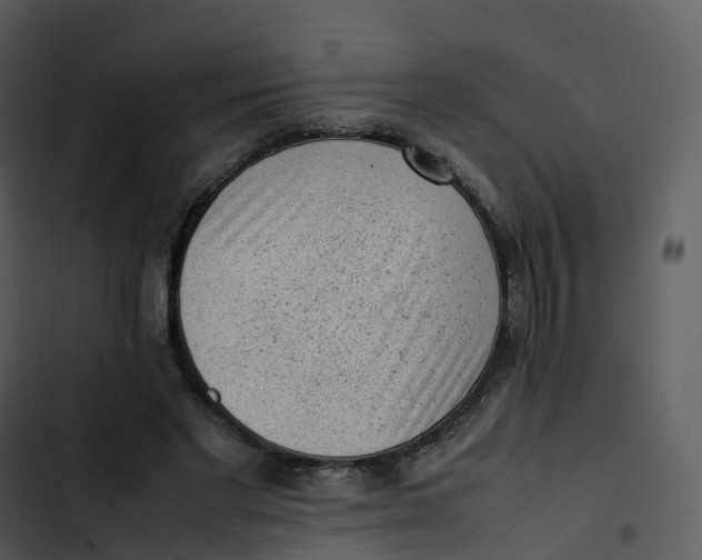 X0000102860493200809081309