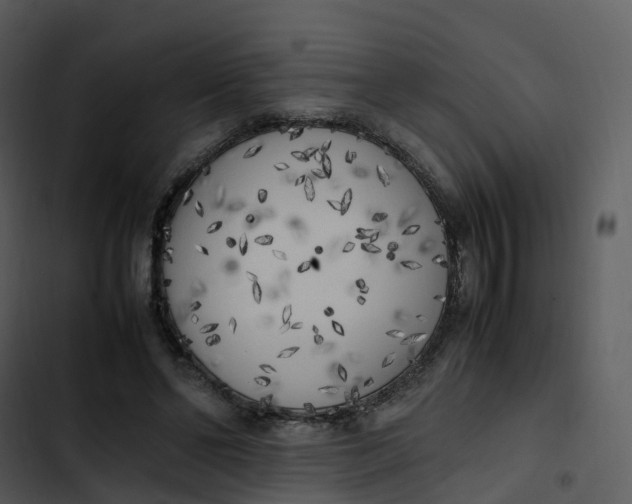 X0000102860494200809081309