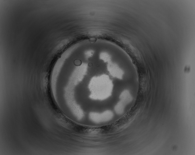 X0000102860495200809081309