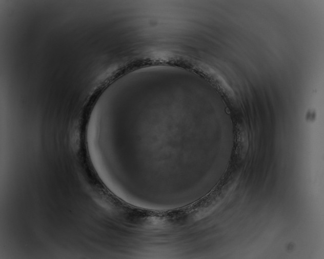 X0000102860496200809081309