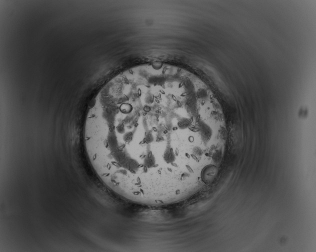 X0000102860499200809081309