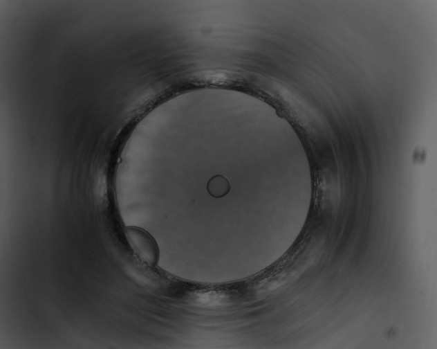 X0000102860500200809081309