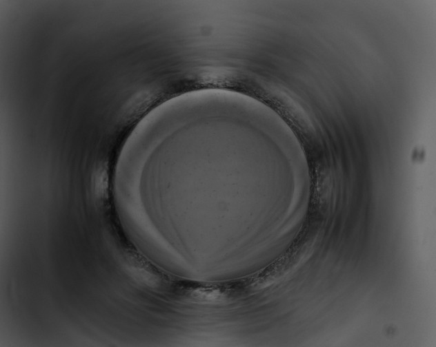 X0000102860502200809081309