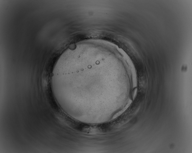 X0000102860503200809081309