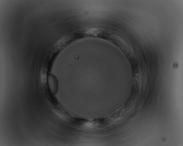 X0000102860504200809081309