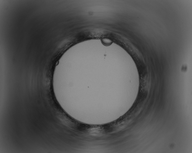 X0000102860505200809081309