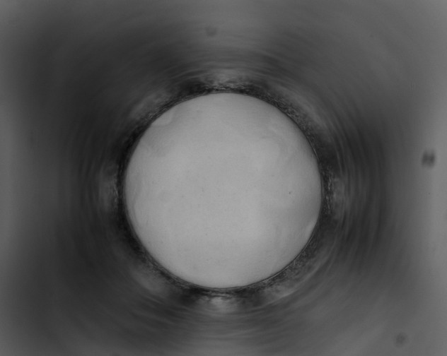 X0000102860506200809081309