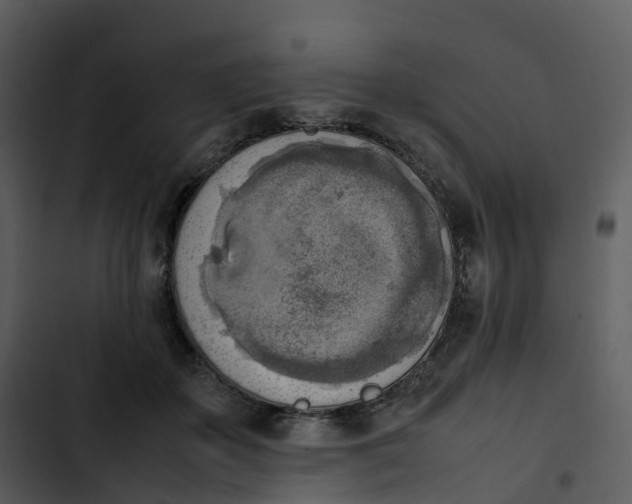 X0000102860507200809081309