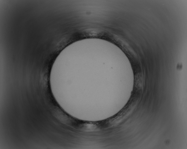 X0000102860509200809081309