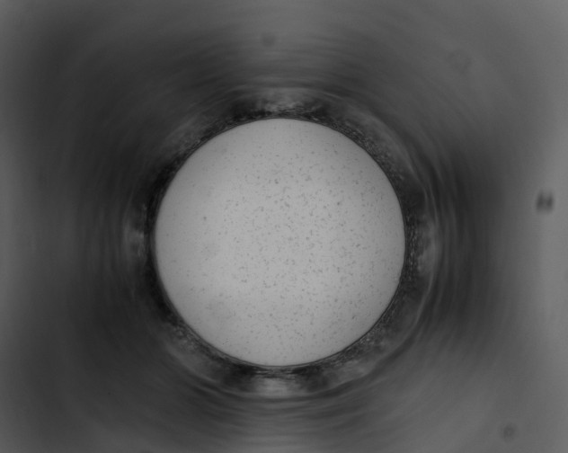 X0000102860510200809081309