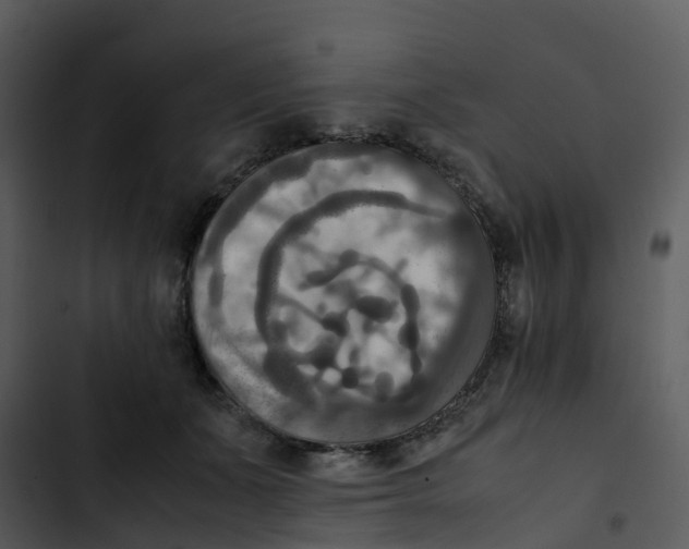 X0000102860511200809081309