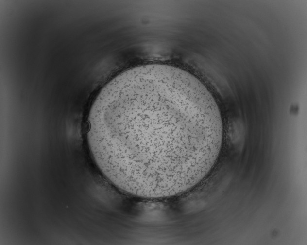 X0000102860512200809081309