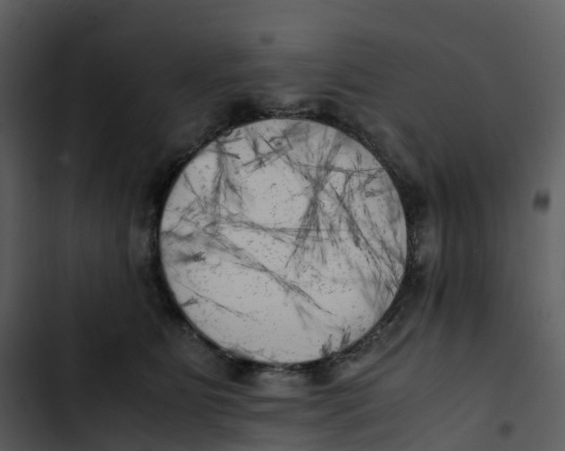 X0000102860515200809081309