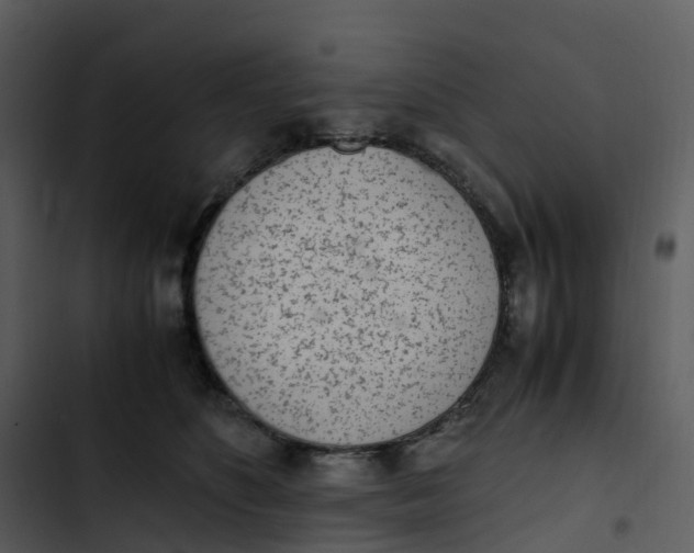 X0000102860516200809081309