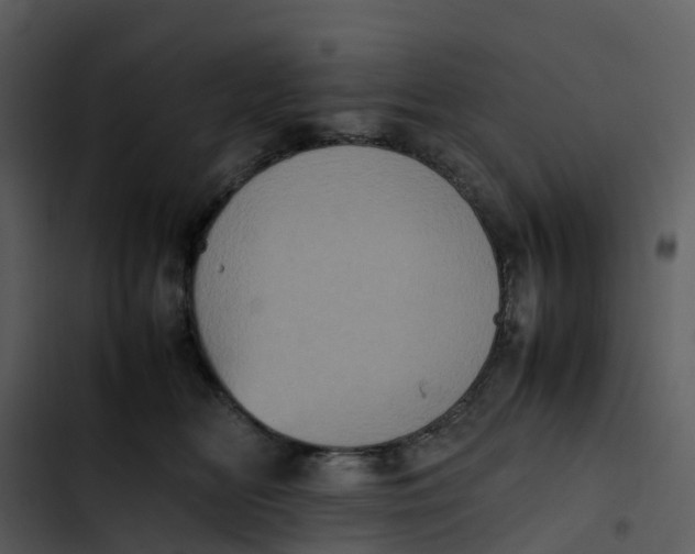 X0000102860518200809081309